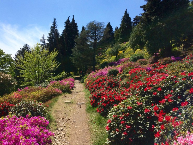 Parco San Grato, Carona