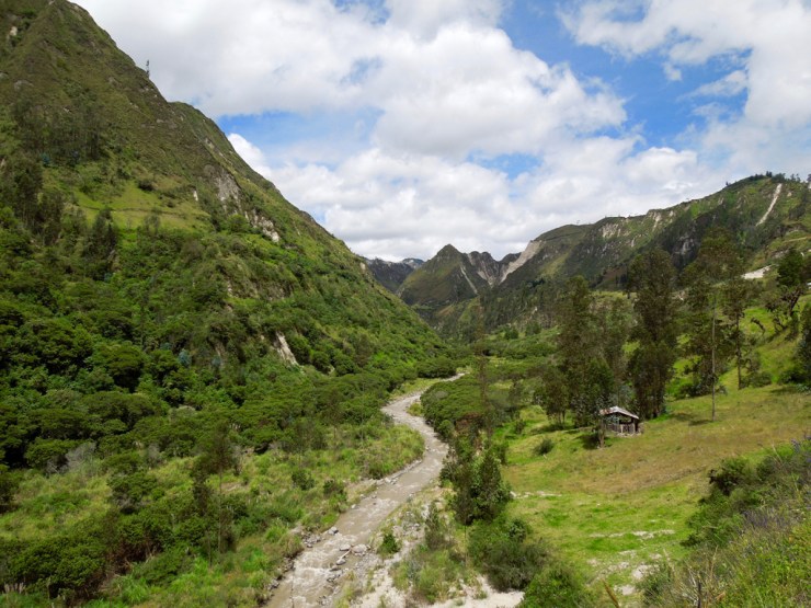 Le fameux Rio Coachi