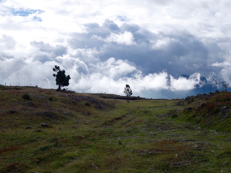 La terre s'arrête ici...