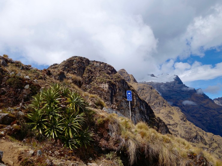 4150 mètres et des palmiers-cactus...