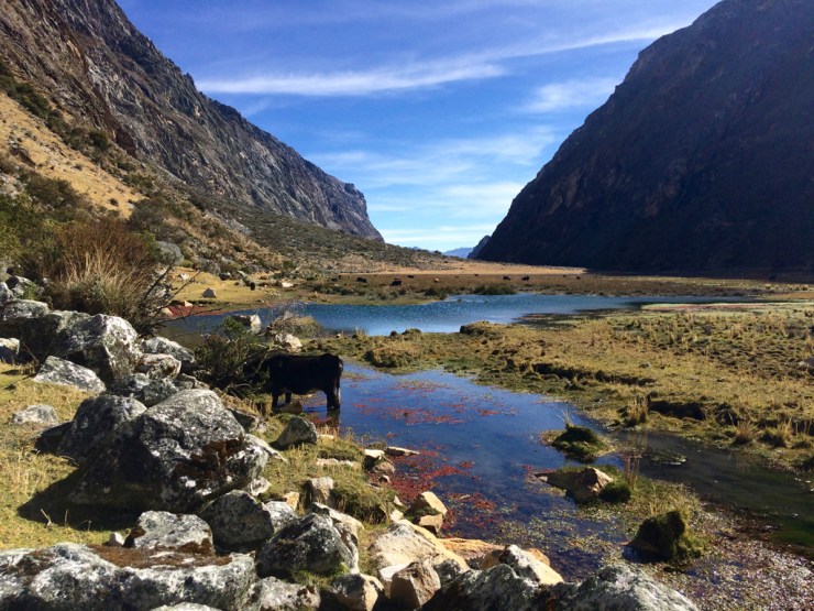 La fin approche déjà