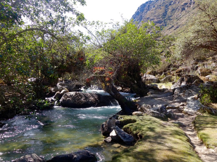 Oh mon Rio oh oh oh!