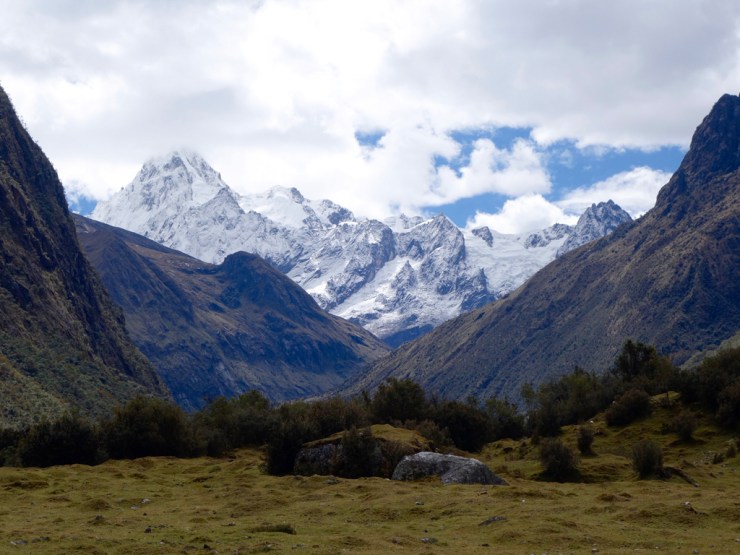 Les majestueux gardiens