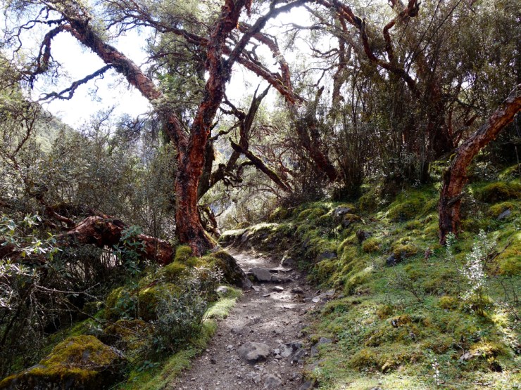 Peu après l'entrée du parc...