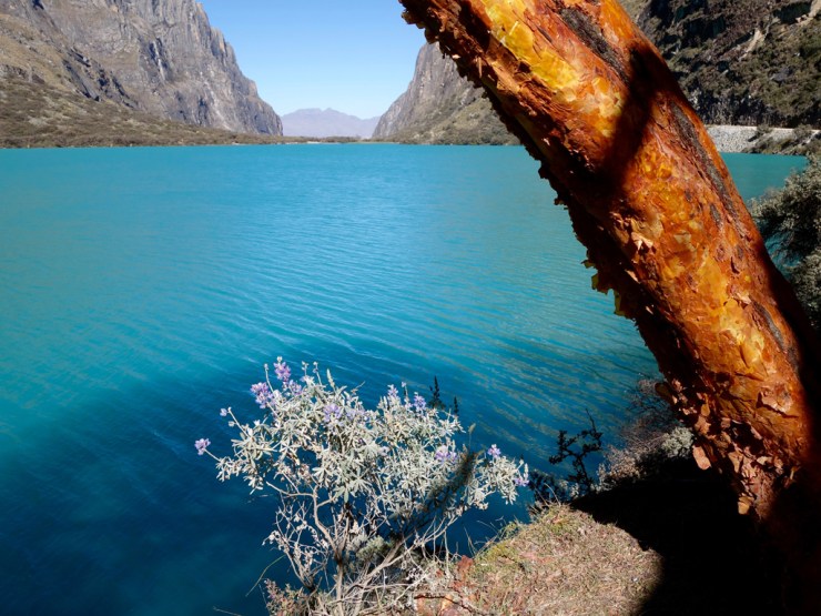Laguna Llanganuco, RAL 5018