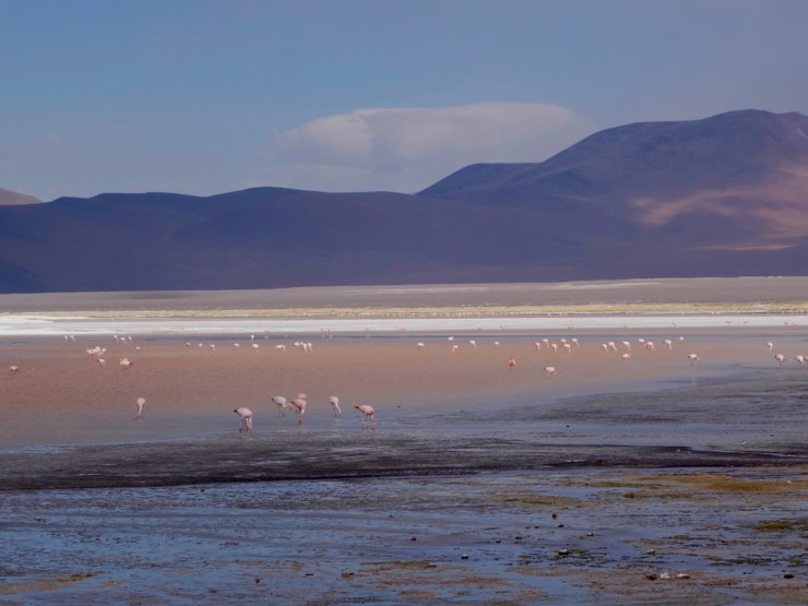 La laguna colorada