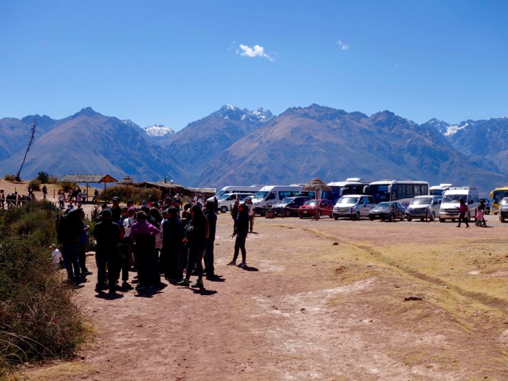 Groupes et minibus présents partout