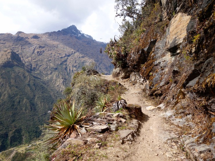 Entre jungle et montagne