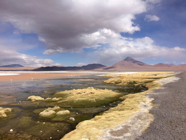 Oui, la nature a fait ça !