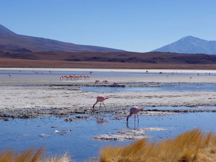 Moment où on a perdu Melanie