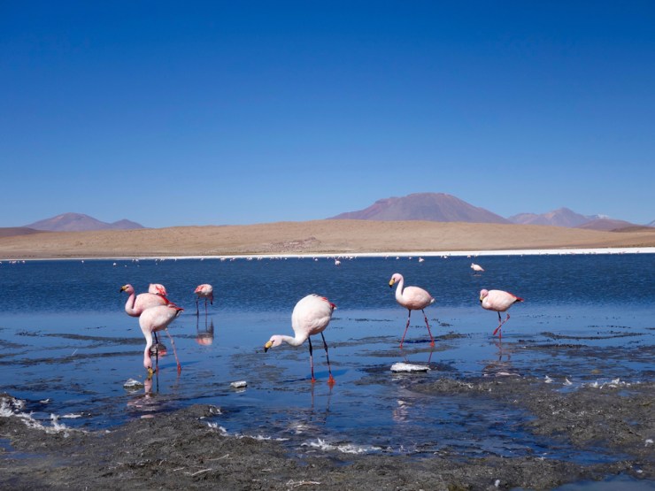 Photo 345 / 8765 de Melanie