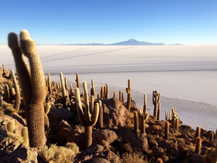 Ils regardent la montagne au loin