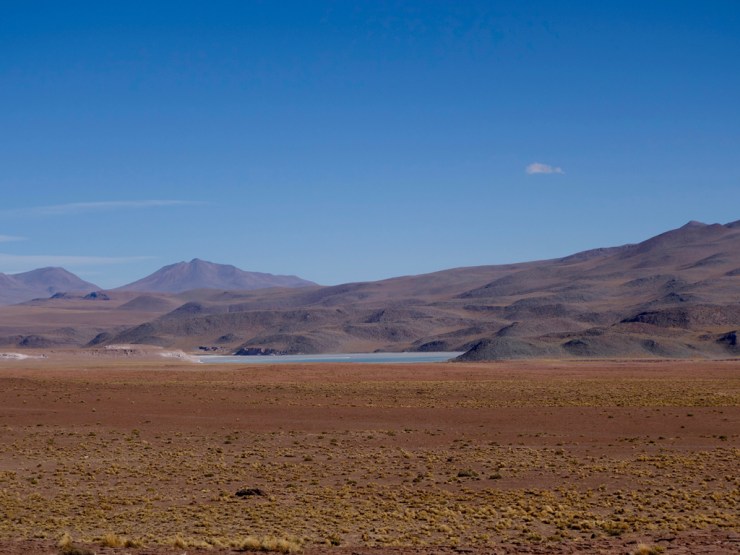 Un bout de ciel tombé sur le sol