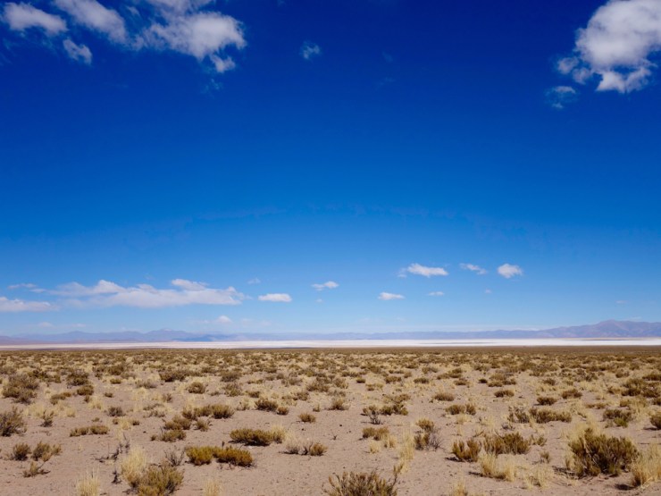 Un salar à l'horizon !