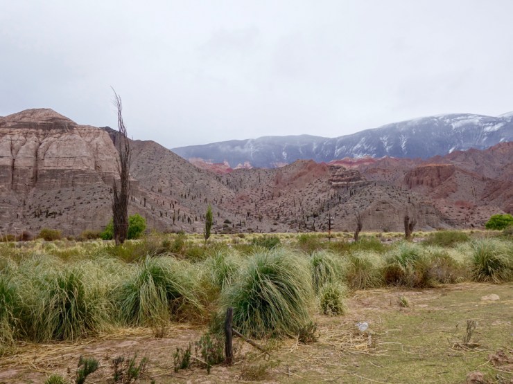 On ne s'en lasse définitivement pas