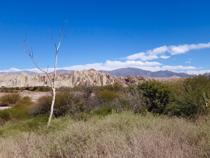 L'hiver en Argentine