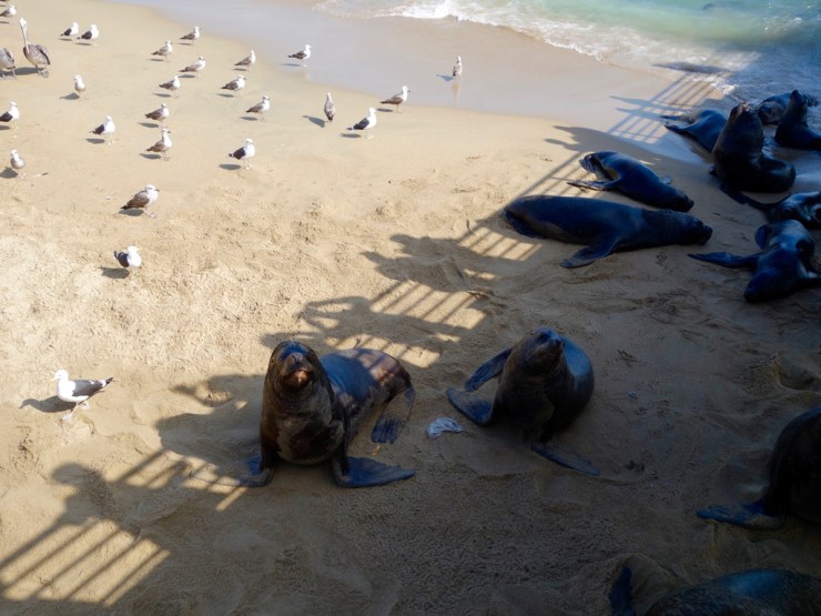 Séparation assez claire