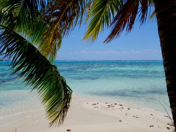 Camaïeu de turquoise