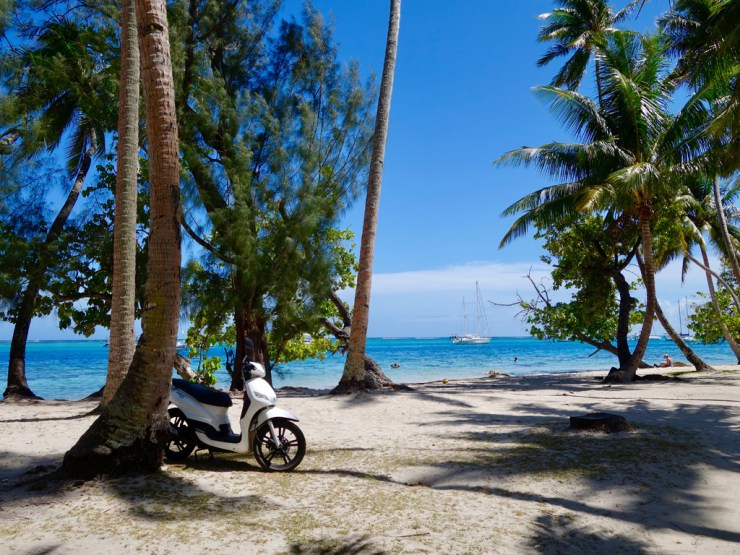 pb_bilan_polynesie-2