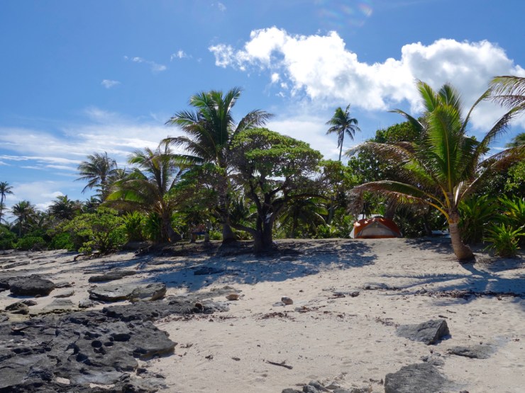 pb_bilan_polynesie-6