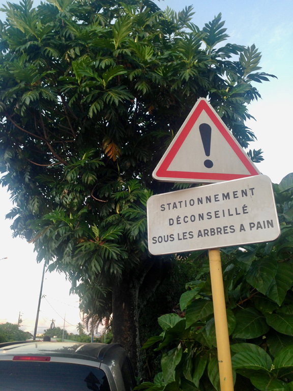 pb_gastronomie_polynesie-3