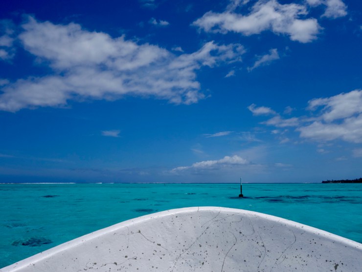 En route pour les baleines!