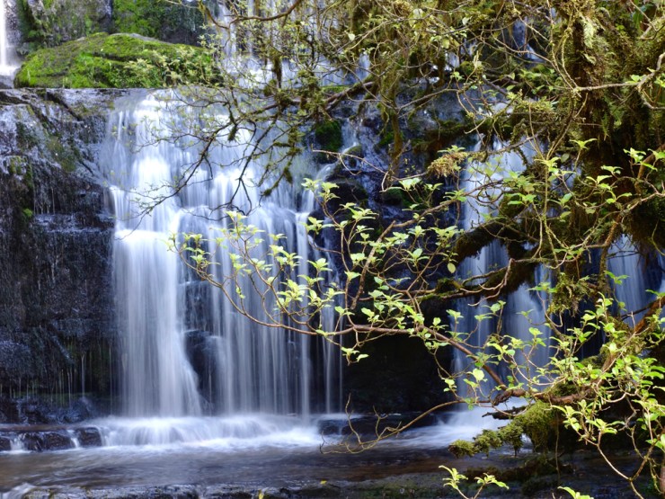 pb_nz_otago-et-southland-11