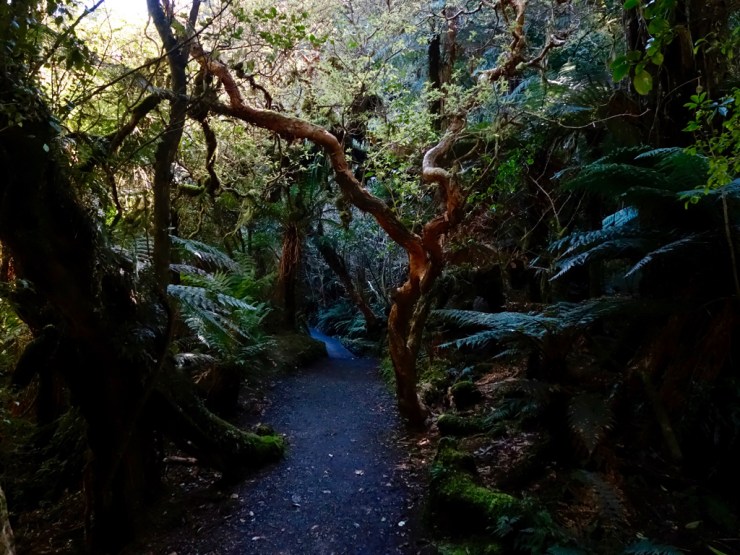 pb_nz_otago-et-southland-13