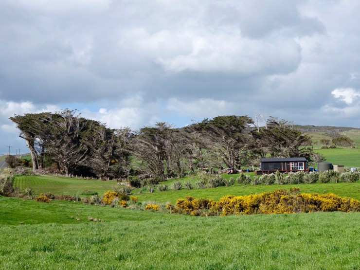 pb_nz_otago-et-southland-18