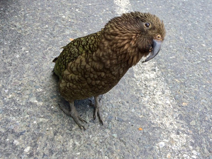 pb_nz_otago-et-southland-27