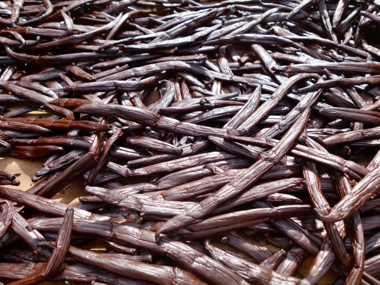 pb_raiatea-et-tahaa-8