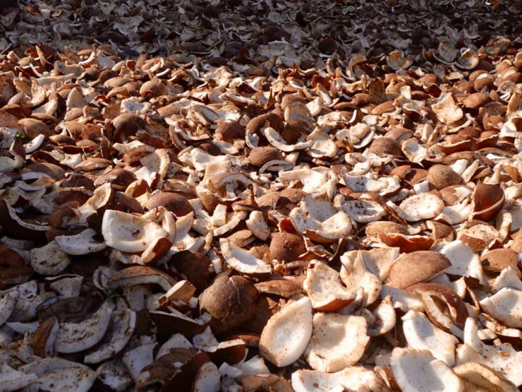 pb_raiatea-et-tahaa-9