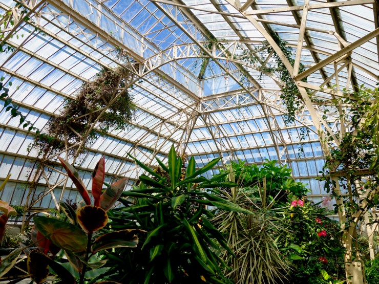 pb_nz_christchurch-2