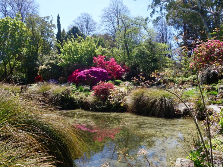 pb_nz_christchurch-3