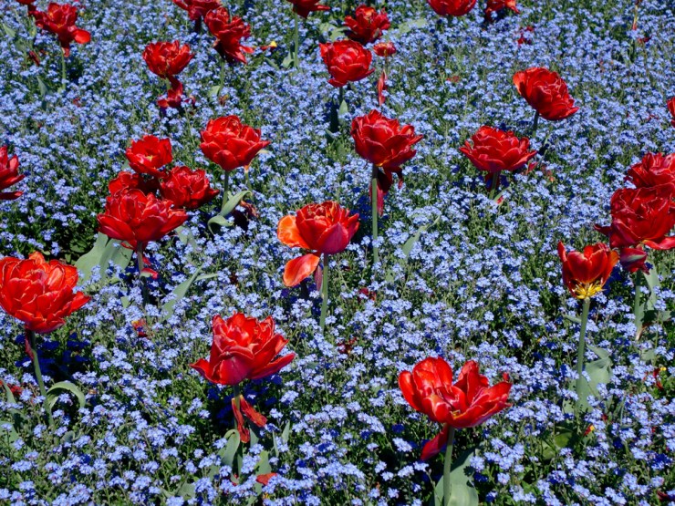 pb_nz_christchurch-4