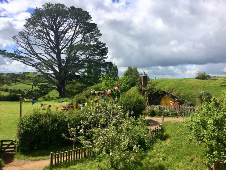 pb_nz_ile-du-nord-25