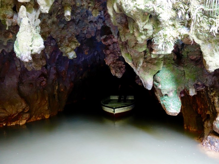 pb_nz_ile-du-nord-26