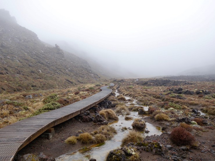 pb_nz_ile-du-nord-27