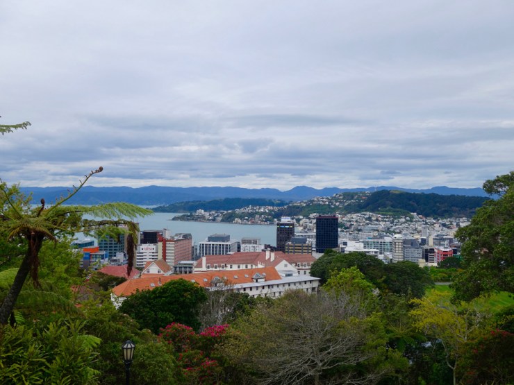Depuis le jardin botanique