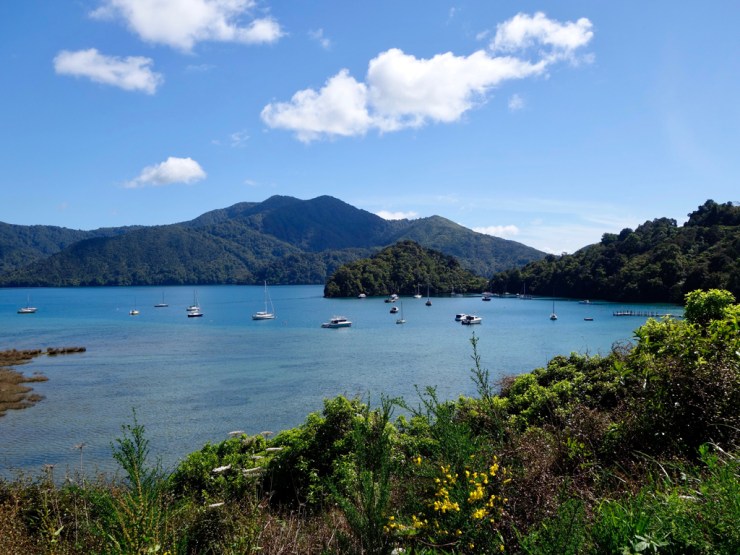 Un petit bateau par ici?