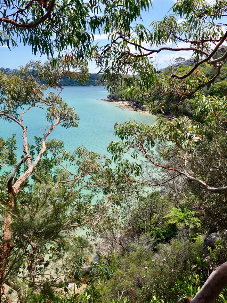 pb_bilan_australie-1