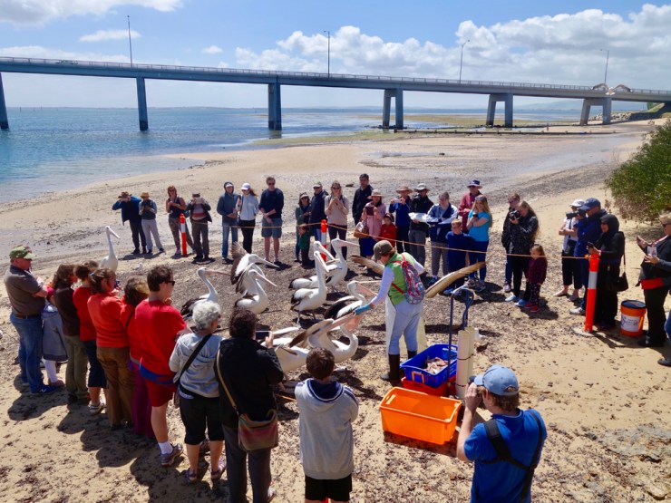 pb_bilan_australie-10