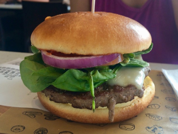 pb_bilan_australie-9