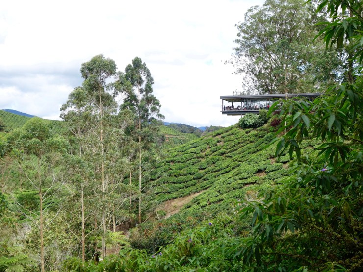 pb_cameron-highlands-et-georgetown-13