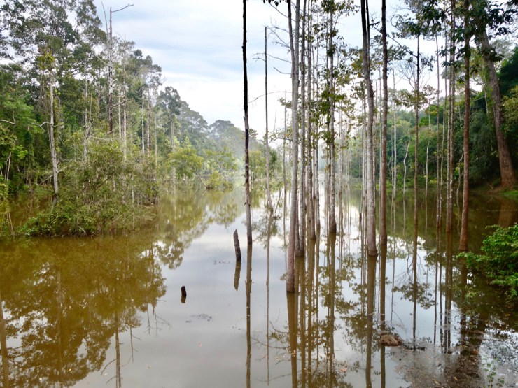Douves entourant Angkor Thom